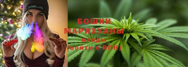 амф Арсеньев