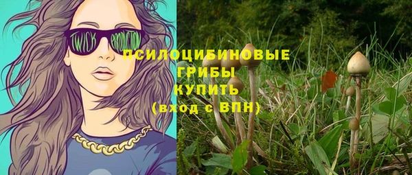 амф Арсеньев