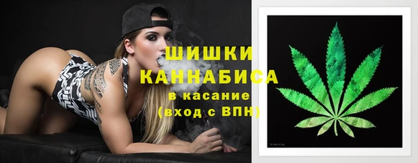 амф Арсеньев