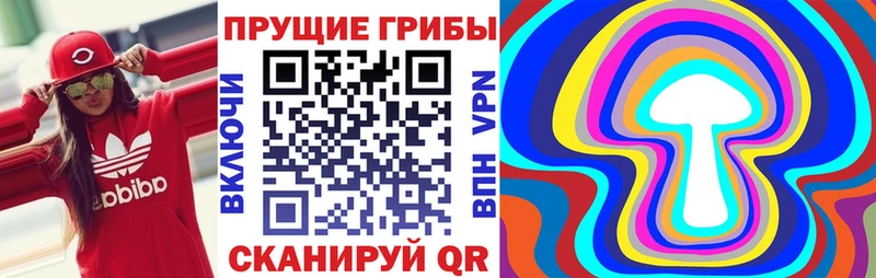 Псилоцибиновые грибы Magic Shrooms  цена   Углич 